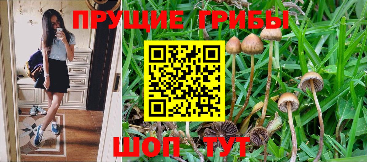 где продают   Галлюциногенные грибы мицелий  Вход с VPN  Аксай 