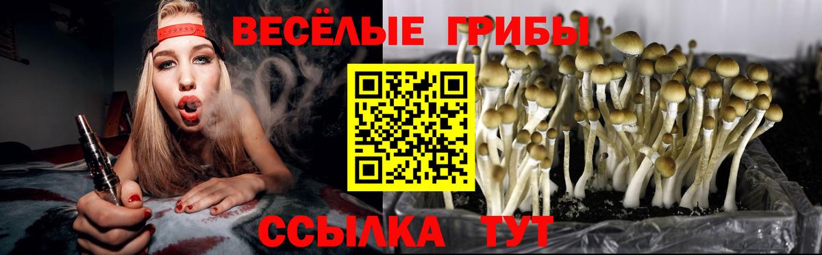 Псилоцибиновые грибы Psilocybine cubensis Аксай